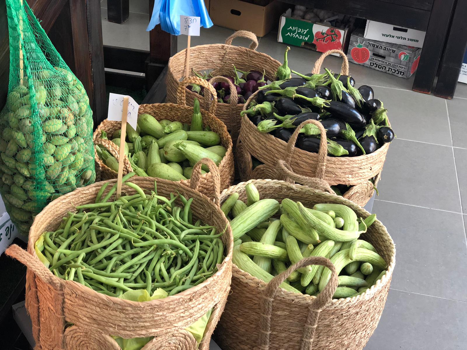 WhatsApp Image 2020-07-29 at 11.16.50 AM.jpeg.jpeg